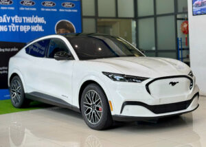 Ford Mustang March-E